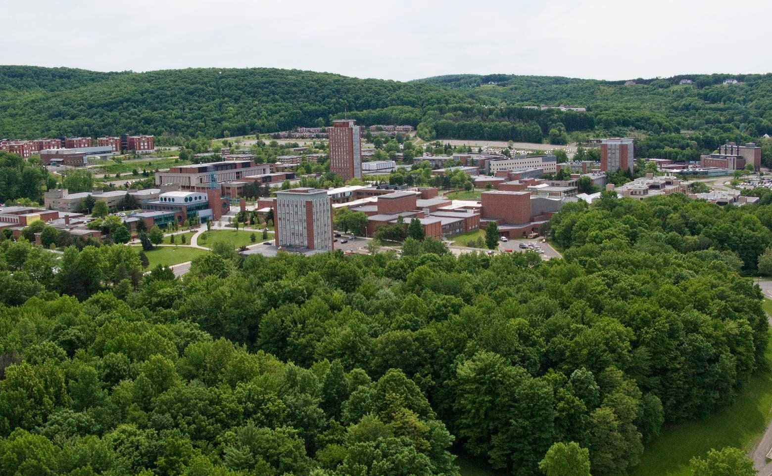 Binghamton University campus
