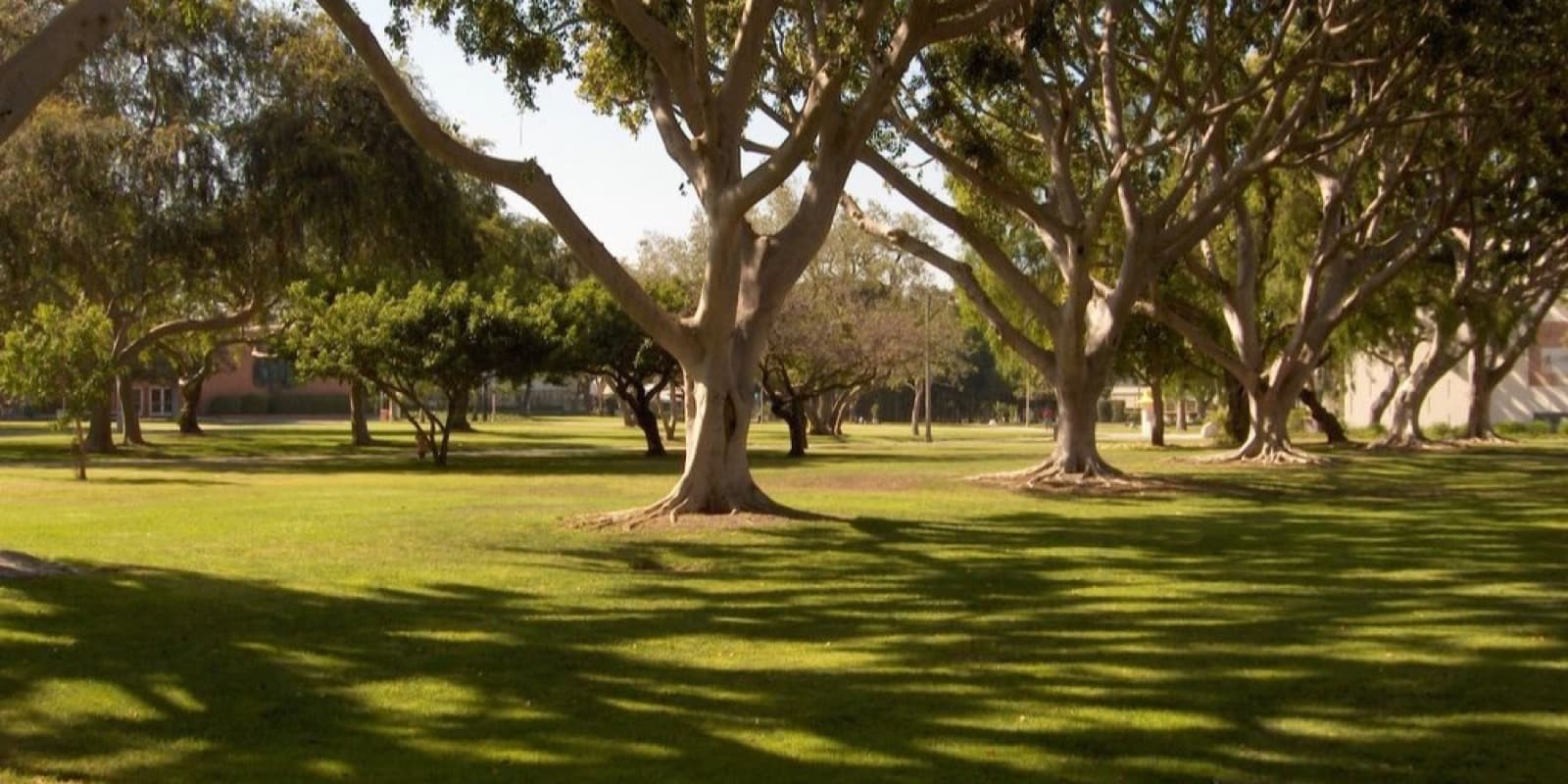 California State University, Long Beach campus