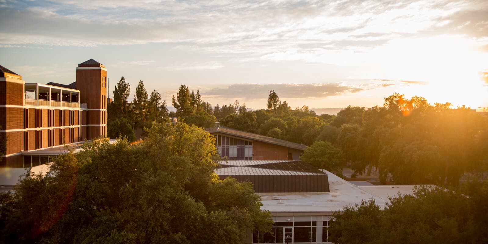 University of California, Davis campus