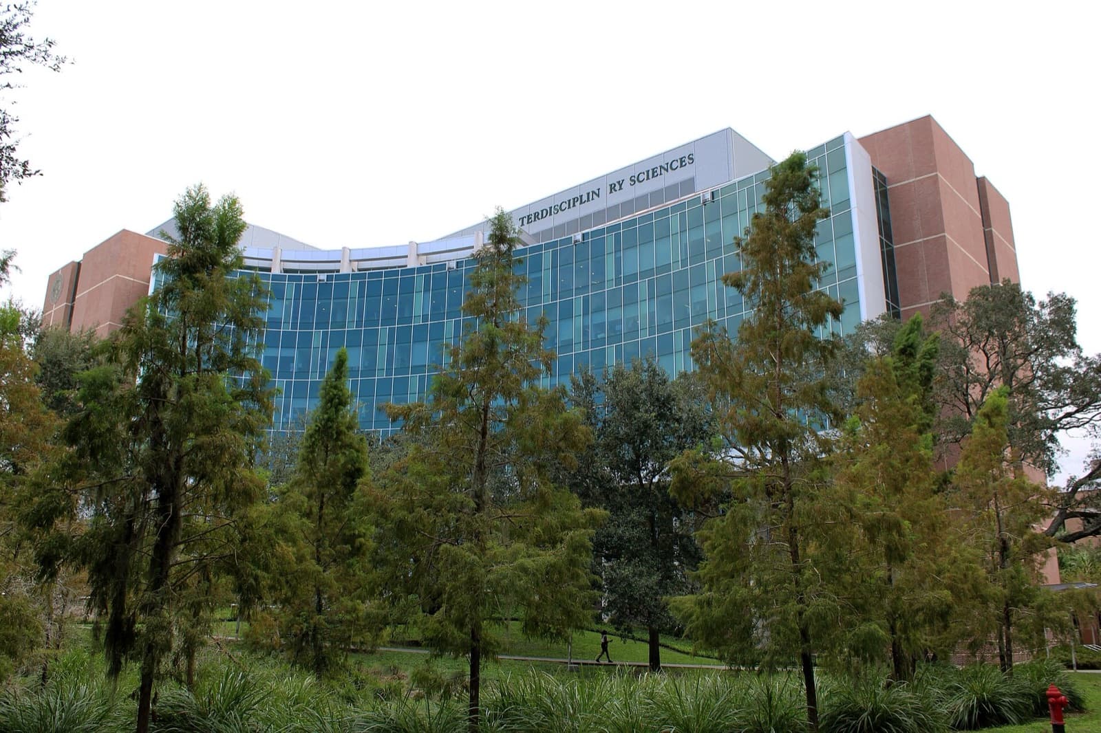 University of South Florida campus